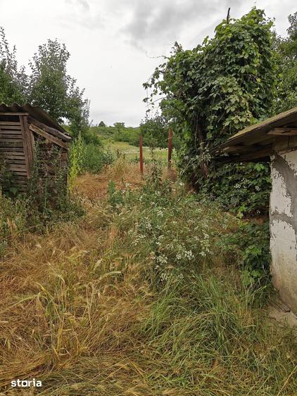 Teren de 4920 mp, în Miroslava