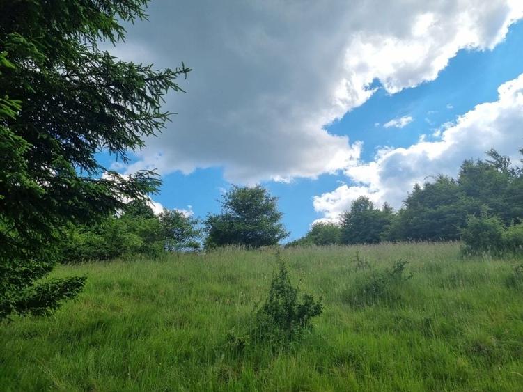 Teren de 9300 mp, în Pănicel