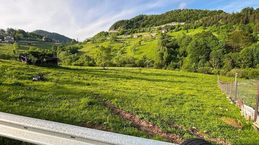 Teren de 4000 mp, în Dâmbovicioara
