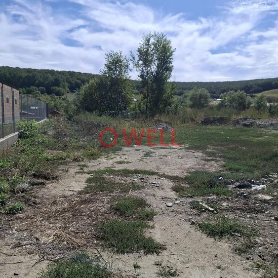 Teren Construcții intravilan de 750 mp, în Livezeni