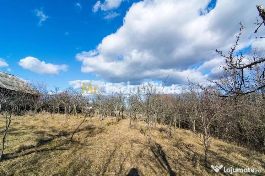 Casă cu 3 camere cu Teren 4145 Mp în Vedea