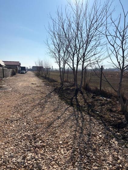 Teren Construcții intravilan de 6000 mp, în Stupini