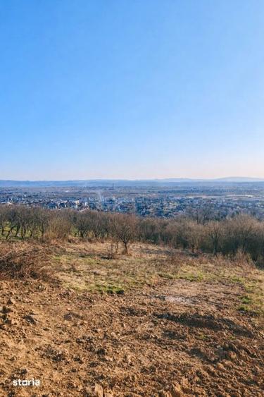 Teren de 734 mp, în Valea Borcutului