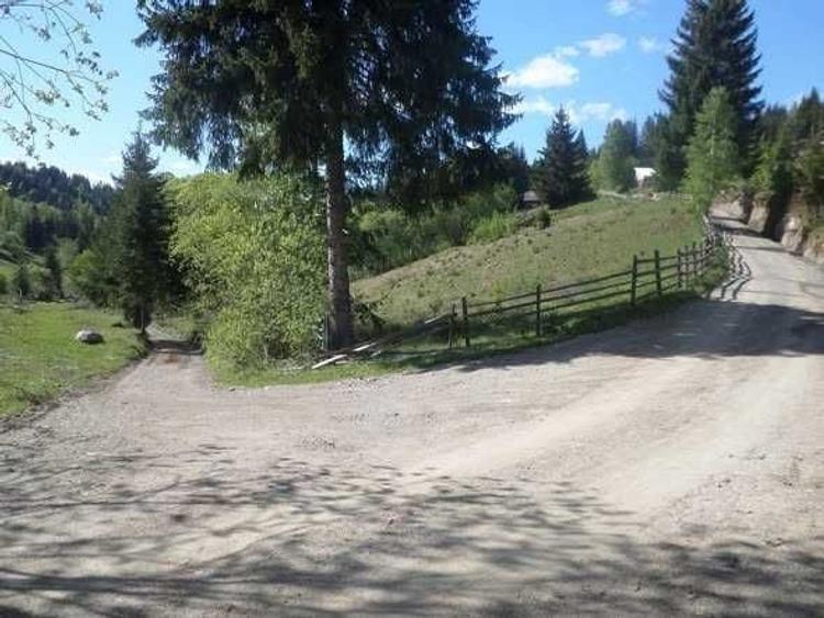 Spațiu comercial, în Ortoaia