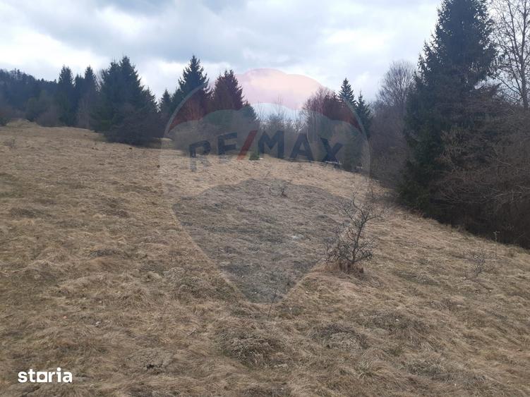 Teren de 14250 mp, în Central