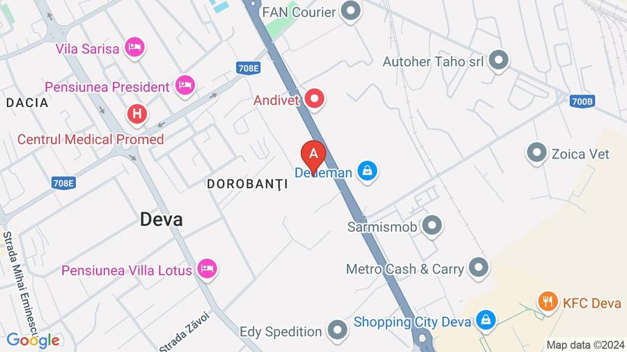 Teren Construcții intravilan de 29216 mp, în Dorobanți