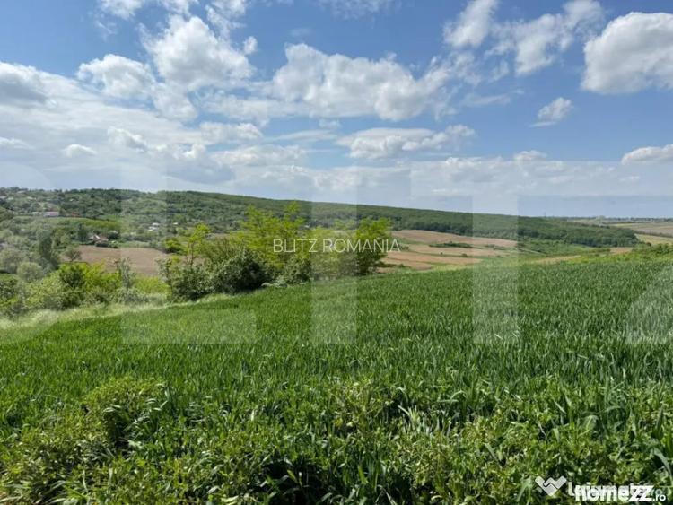 Teren extravilan 6.800 mp Zaice?ti Oportunitate in - Botosani (Botosani)