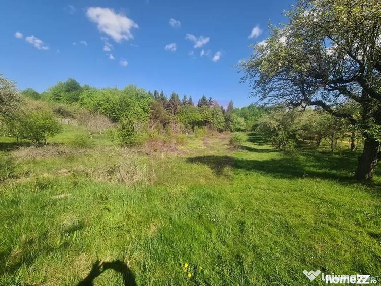 Teren de 2500 mp, în Voila