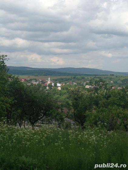 Teren de 4400 mp, în Băița