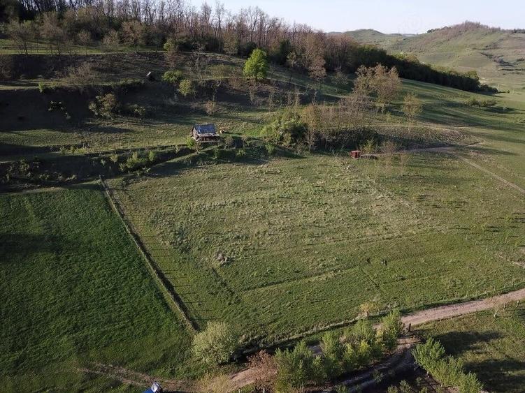 Teren de 2000 mp, în Central