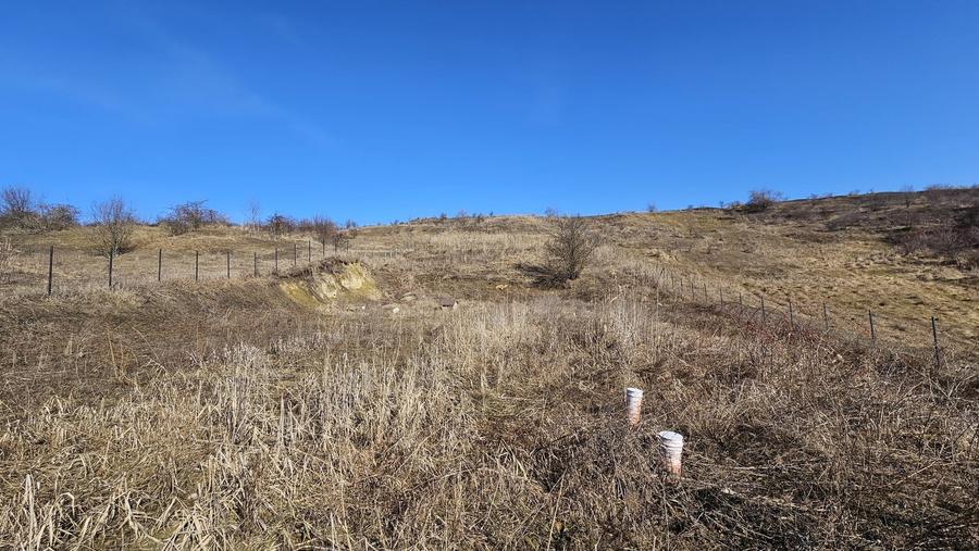Teren agricol extravilan de 5665 mp, în Iris