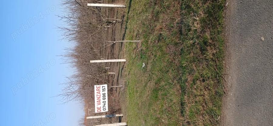 Teren de 500 mp, în Iratoșu