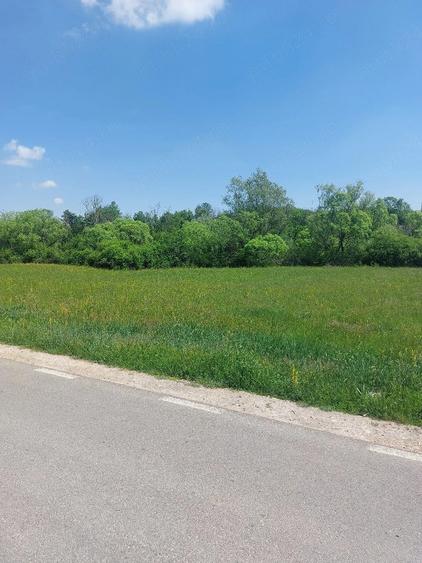 Teren de 8000 mp, în Felcheriu