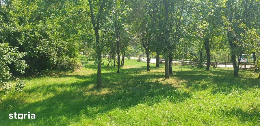 Casă cu 2 camere cu Teren 3000 Mp în Zdrapți