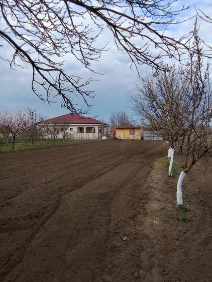 Casă în Iecea Mare
