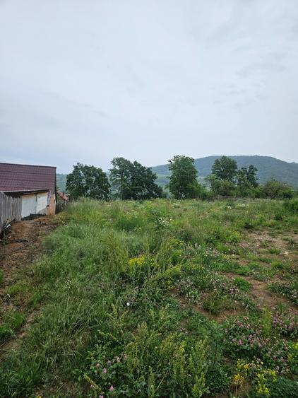 Teren Construcții de 3066 mp, în Pianu de Sus