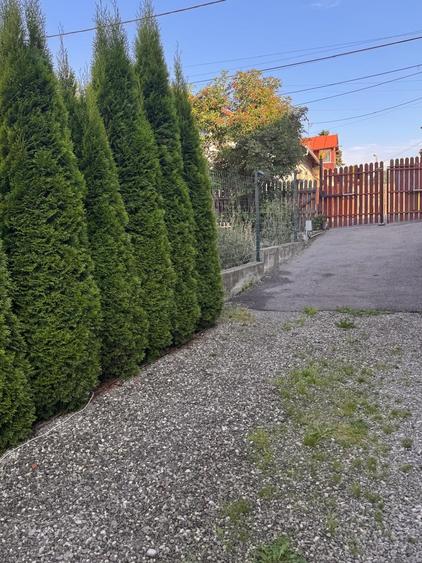 Apartament cu 3 camere decomandat în Bușteni
