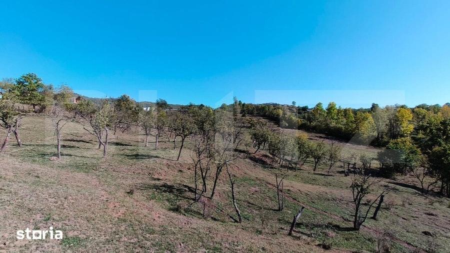 Teren de 7382 mp, în Central