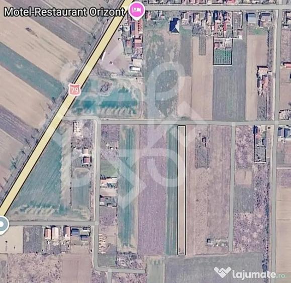 Teren intravilan de vanzare, 3000 mp in Gepiu, Bihor - 3