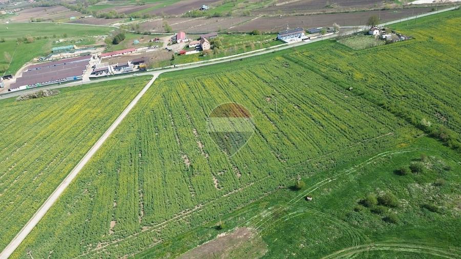 Teren de 192016 mp, în Coveș
