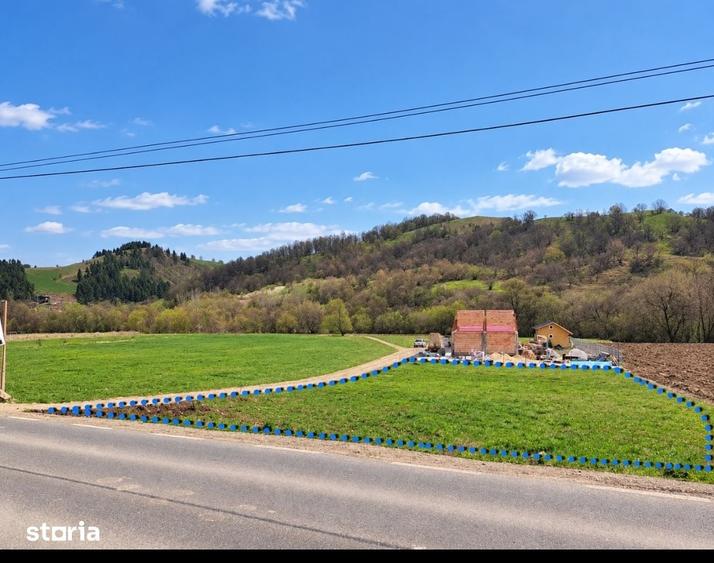 Teren de 1000 mp, în Sava