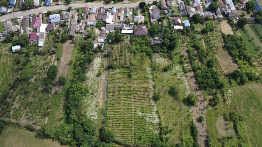 Casă individuală cu 6 camere cu Canalizare în Sascut