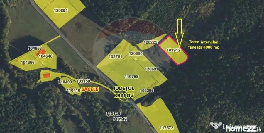 Teren de 4003 mp, în Babarunca