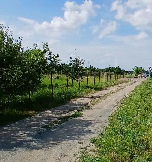 Teren de 468 mp, în Careiului