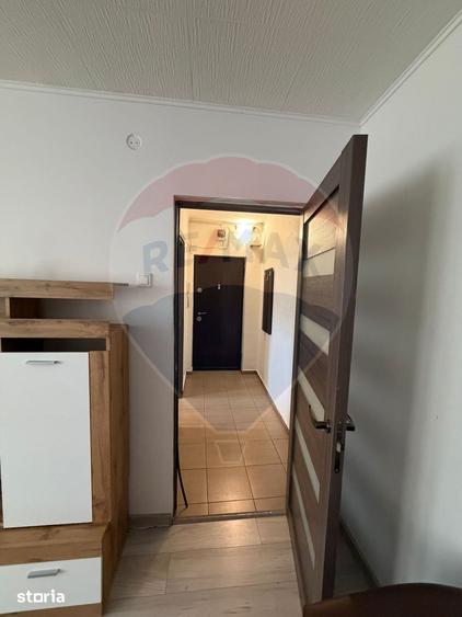 Apartament cu 2 camere, mobilat în Bordei