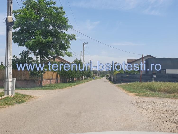 Teren Balotesti,padure Sri,19500 euro - 1