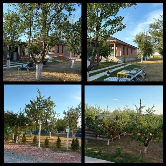 Casă cu 4 camere în Viile Satu Mare