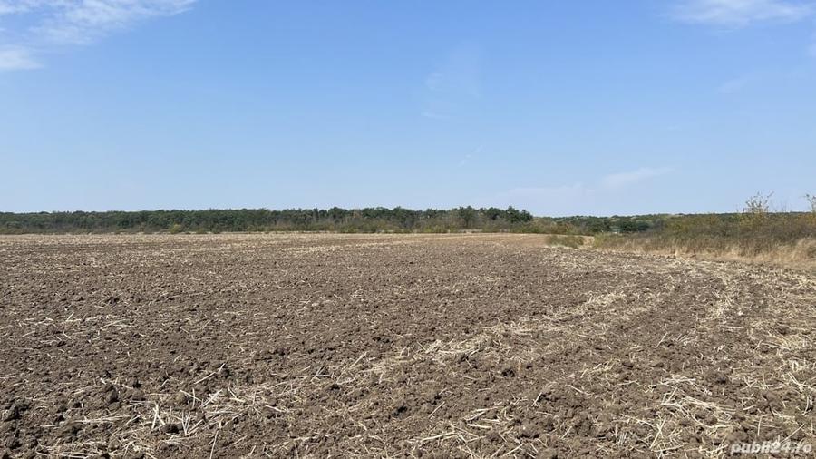 Teren A2 km 21 langa lacul Vadu Anei - 5