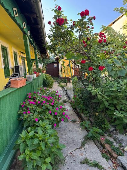 Casă cu 4 camere în Brâncoveanu