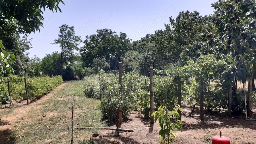Casă cu 3 camere în Frumușani