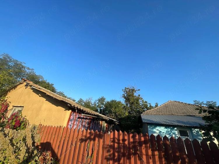 Casă cu 3 camere cu Teren 1716 Mp în Sultana