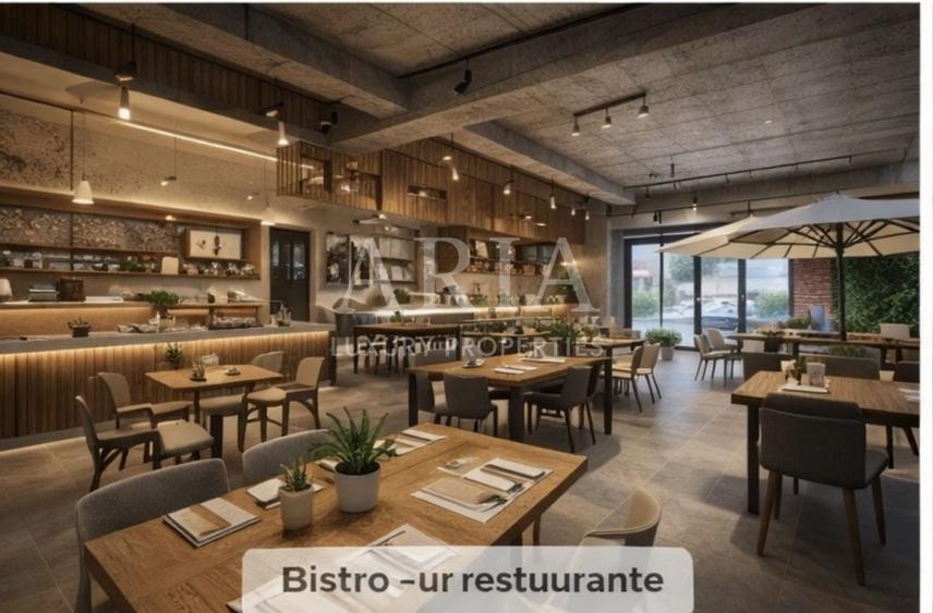 Spațiu comercial, de 250 mp, în Iancu Nicolae
