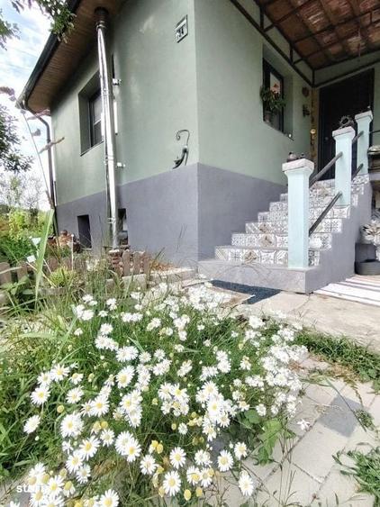 Casă cu 2 camere în Bădești