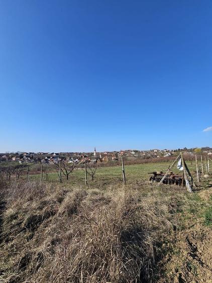 Teren agricol intravilan de 850 mp, în Săldăbagiu de Munte