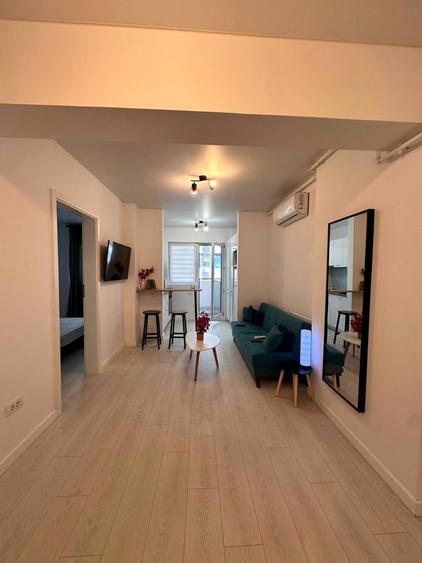 De inchiriat Apartament 2 camere / Studio Str. Biruintei 81 - 2