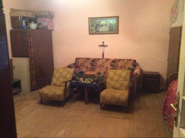 CASA IN RECAS, CENTRAL, CU TEREN MARE , DIVERSE OPORTUNITĂȚI - 13