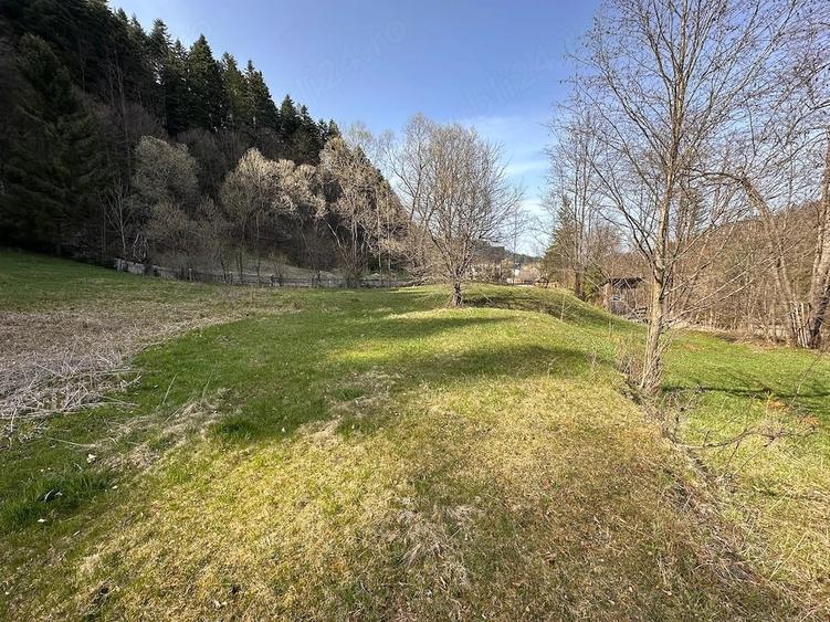 Teren de 6888 mp, în Putna