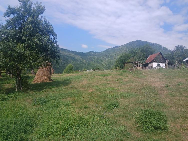 Spațiu comercial, în Central