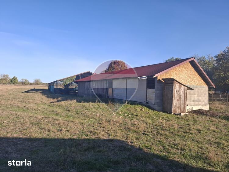 Teren de 51004 mp, în Săpânța
