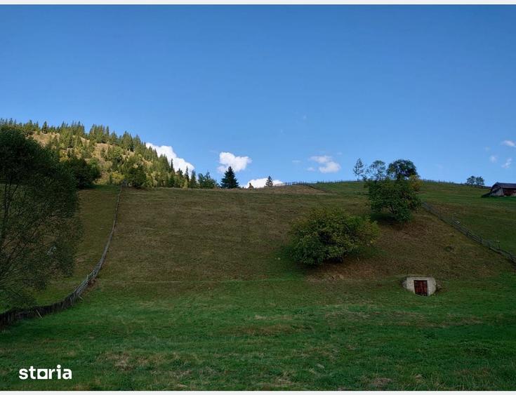 Teren de 1724 mp, în Ortoaia