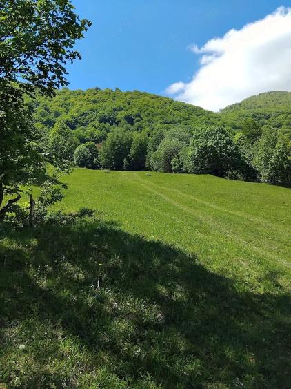 Teren de 10000 mp, în Prisacina