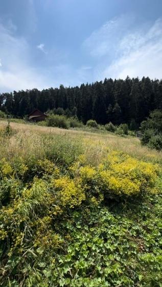Teren Construcții intravilan de 3000 mp, în Exterior Sud