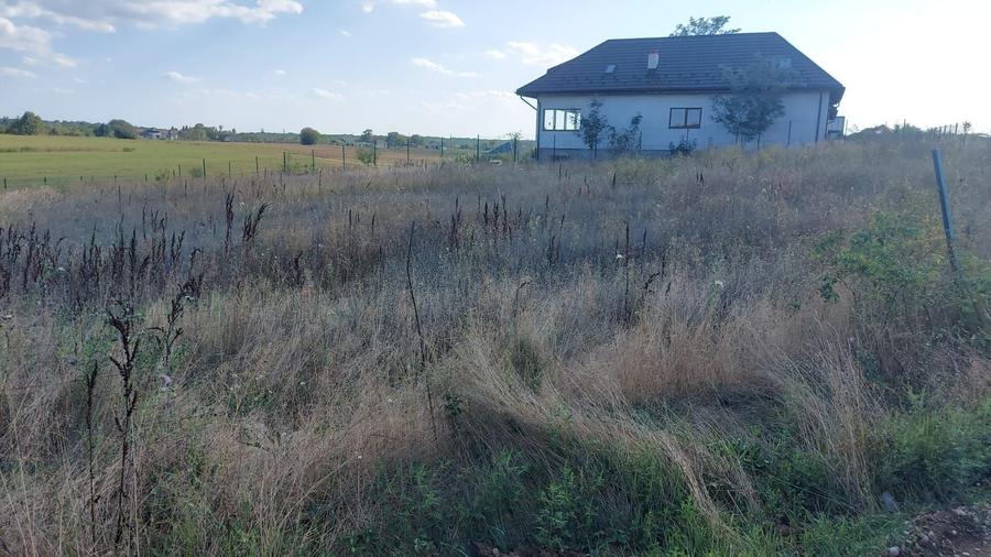 Teren Construcții de 800 mp, în Bălteni