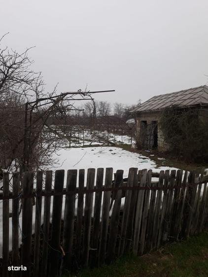 Teren de 1635 mp, în Sintești