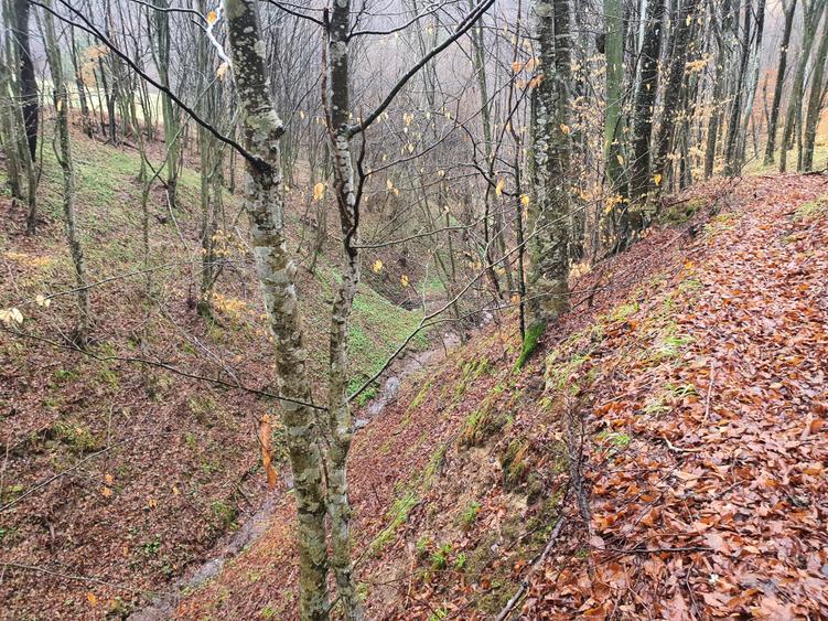 Teren agricol extravilan de 16400 mp, în Poiana Mărului