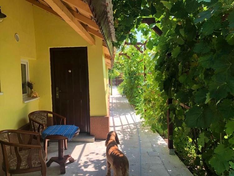 Casă cu 3 camere în Lupșanu